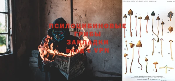 дурь Лихославль