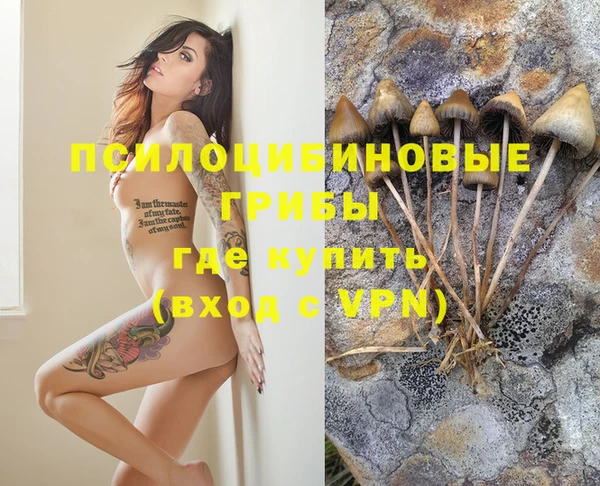 гидропоника Липки