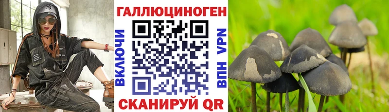 купить закладку  Строитель  Галлюциногенные грибы Psilocybine cubensis 