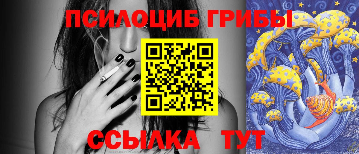 Галлюциногенные грибы прущие грибы  Вход с VPN  Строитель  Галлюциногенные грибы мухоморы 
